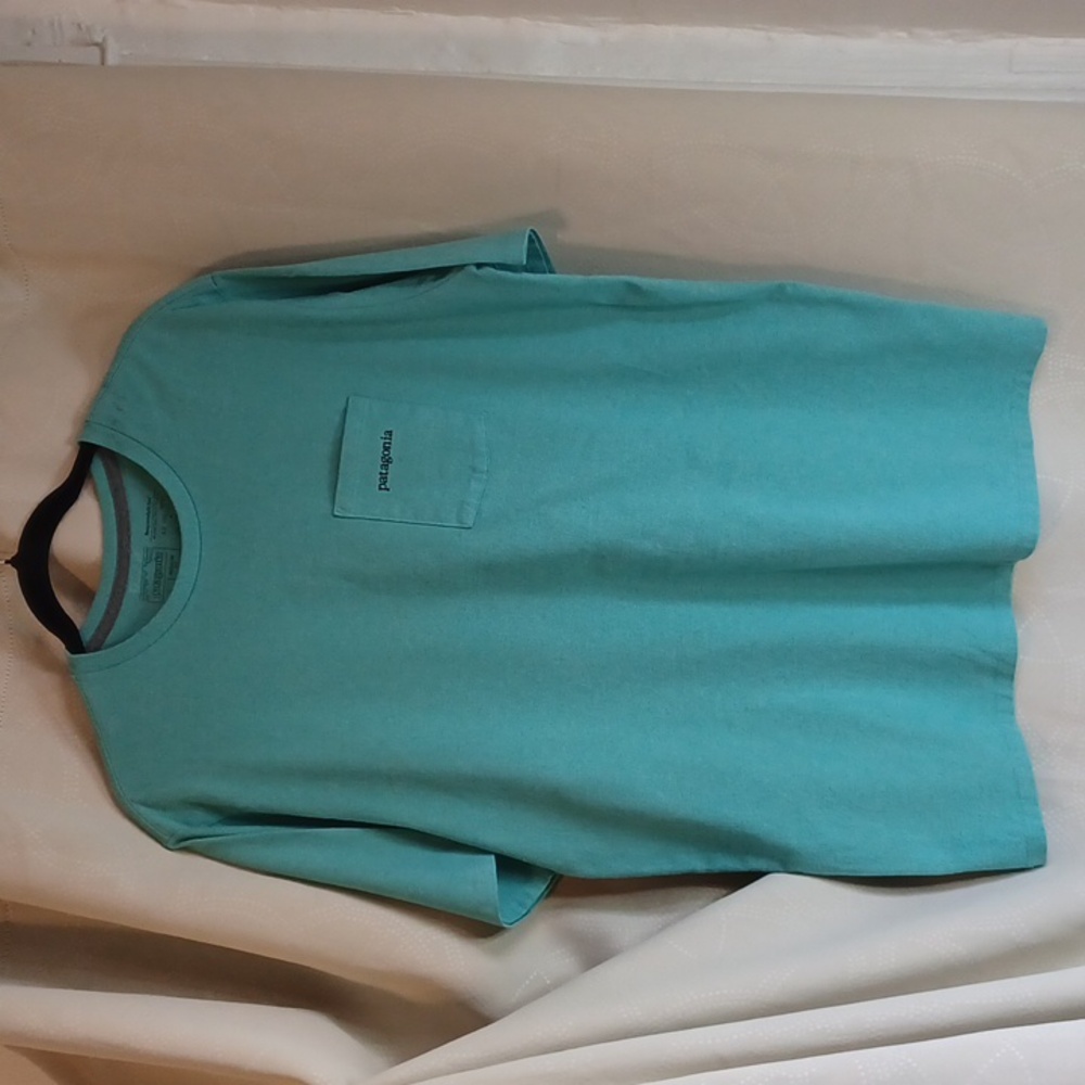Patagonia Men's T